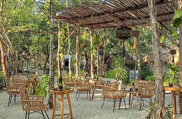 The Yellow Nest 4*
